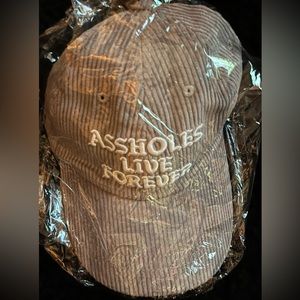 New Assholes Live Forever corduroy hat - gray